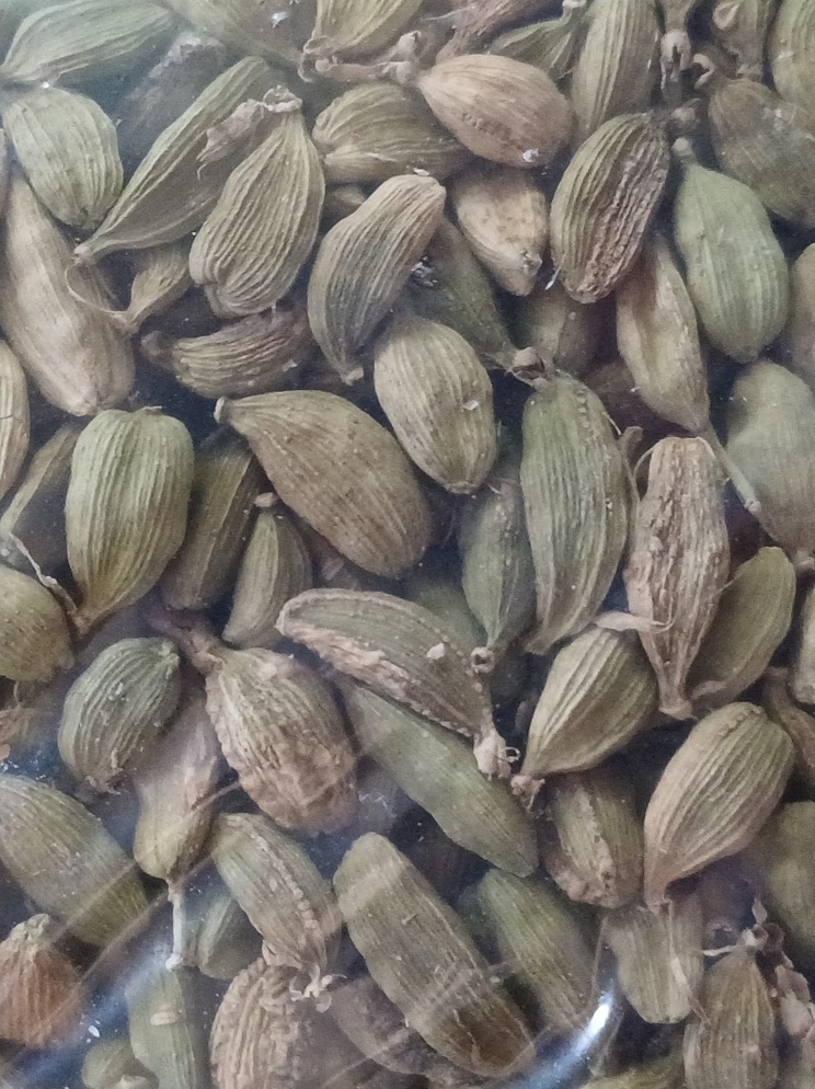 final_cardamomo
